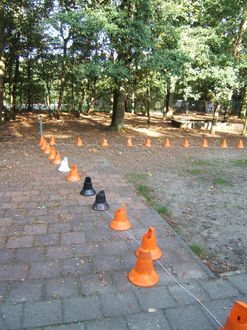 Zaterdag - Foto 12 van 51